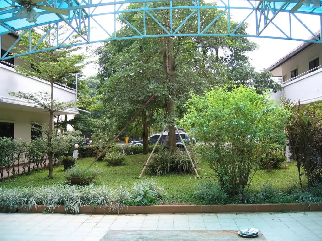 Чианграй: Tanya Resort