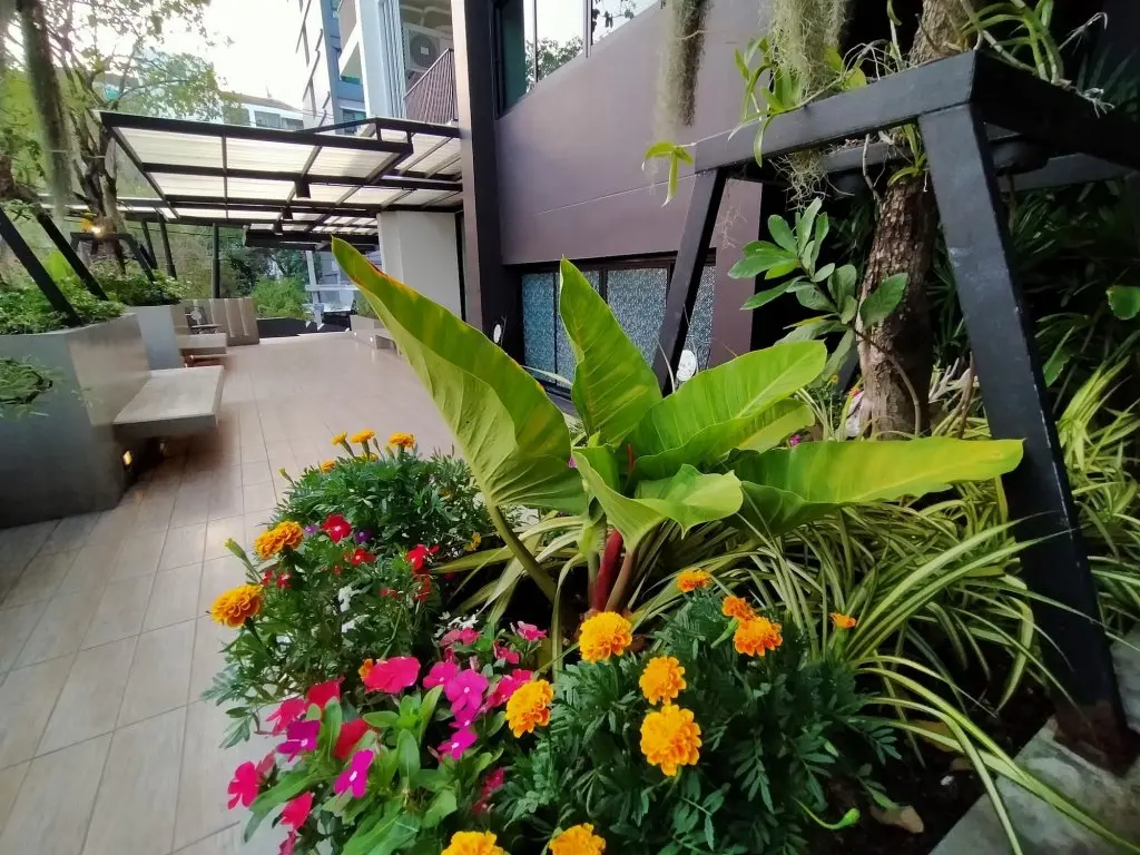 Бангкок: SiRi Ratchada Bangkok