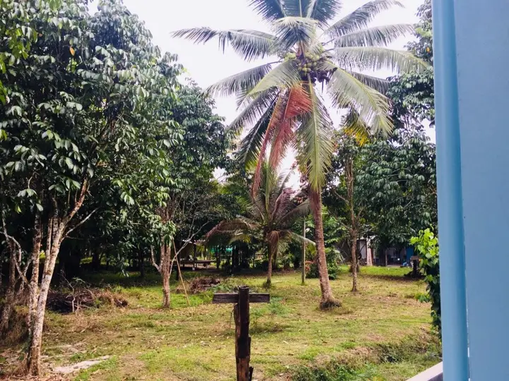 Тхаланг: Baan Kalaya Garden