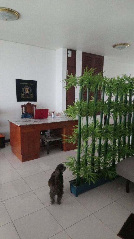 Бангкок: Taina's Home - Hostel