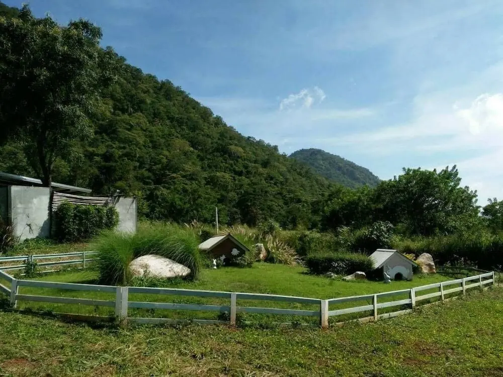 Пак-Чонг: Rabbit Hill Cafe and Resort @ Khao Yai