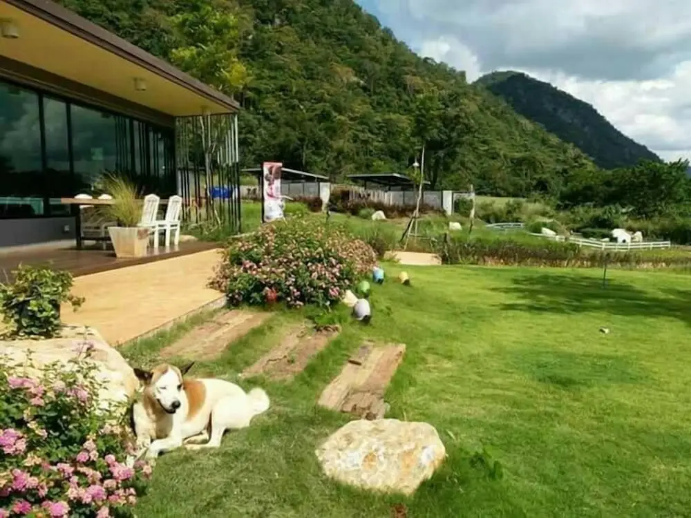 Пак-Чонг: Rabbit Hill Cafe and Resort @ Khao Yai