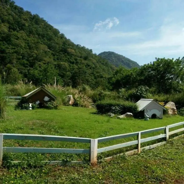 Пак-Чонг: Rabbit Hill Cafe and Resort @ Khao Yai
