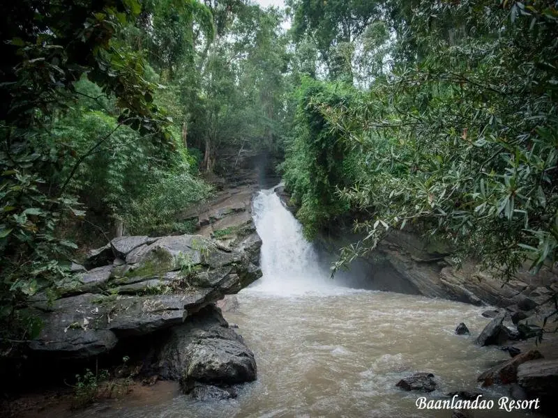 Чиангмай: Baanlandao Resort Chiang Mai