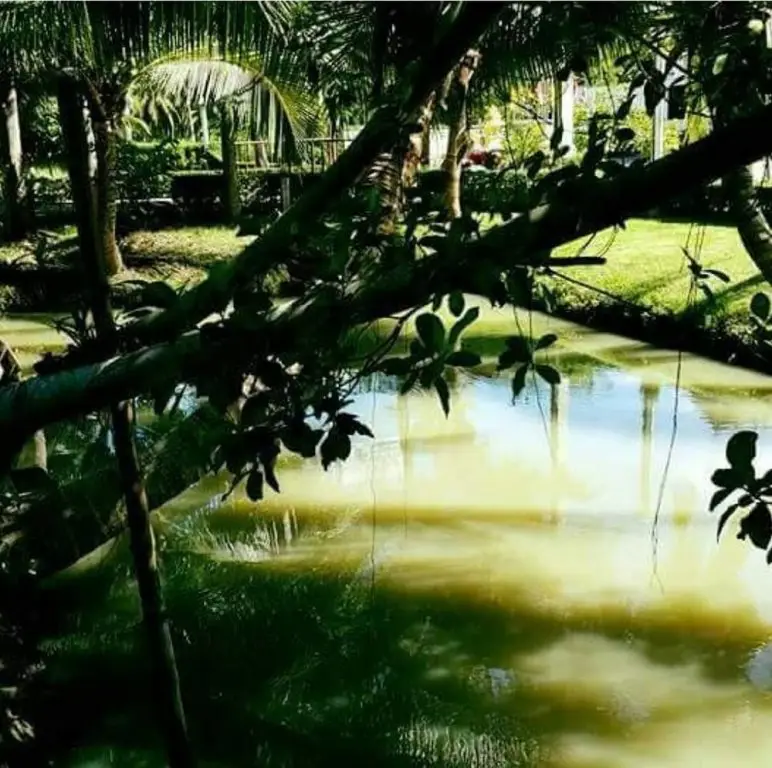 Ампхава: Baansuansabai Ploenpanmai Resort
