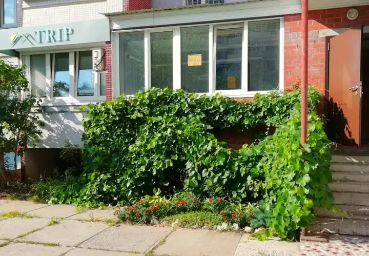 Тольятти: Hostel TRIP Tolyatti
