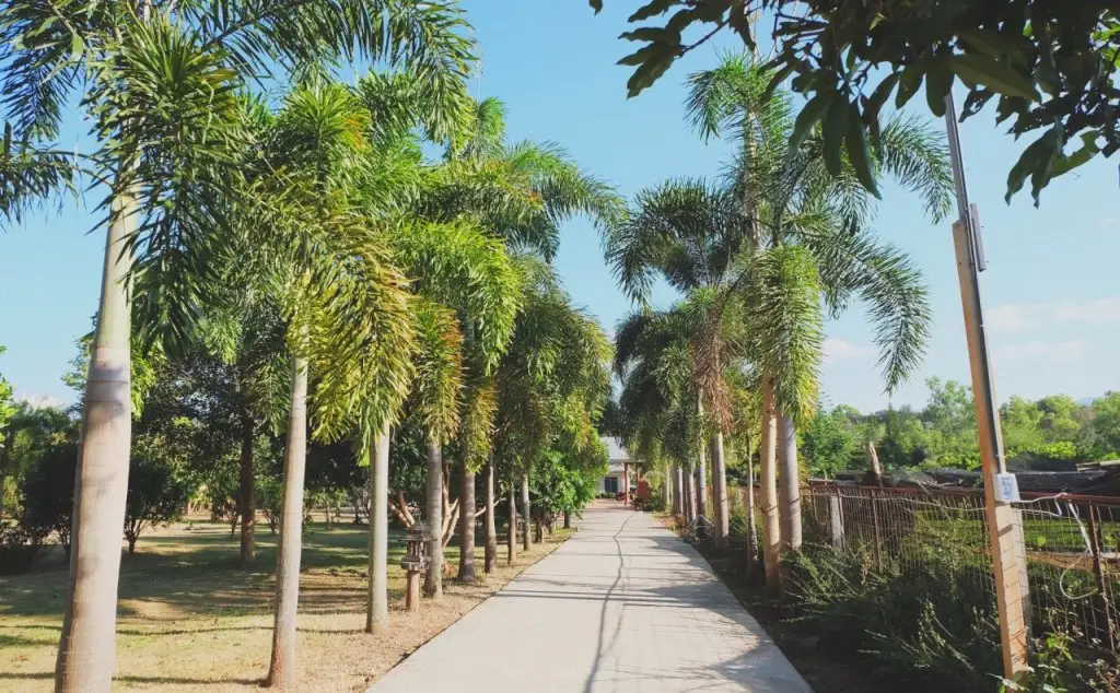 Лоэй: Roongthiwa resort Phurua