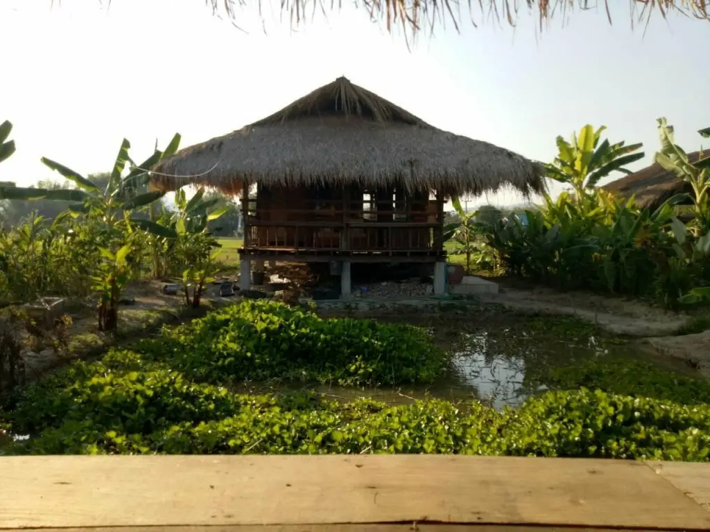Чианг Дао: Siam Lanna Homestay