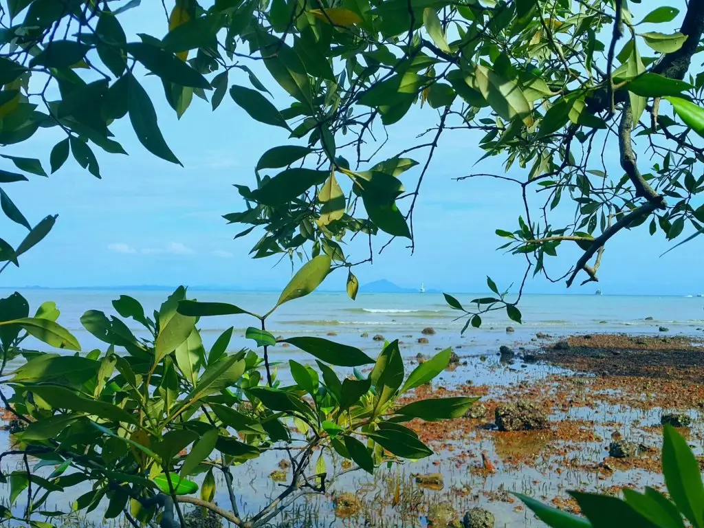 Краби: Na Sook Resort