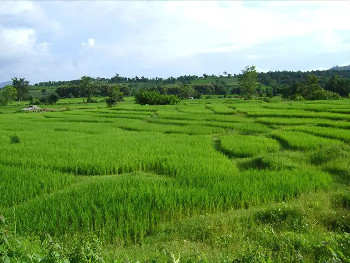 Паи: Bannumhoo Homestay Resort & Camping