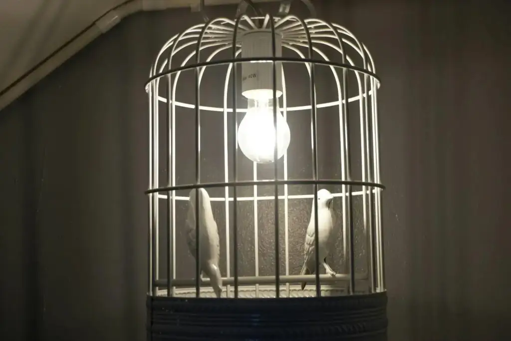 Чиангмай: Sereno Nimman Hotel