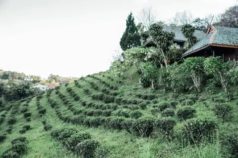 Khumnaiphol Resort — фото 1
