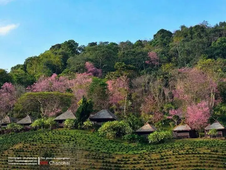 Чианграй: Khumnaiphol Resort