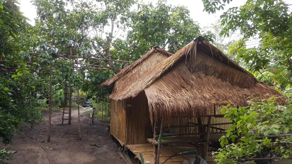 Тгонг-Фа-Фум: Rabiengdao Garden Homestay