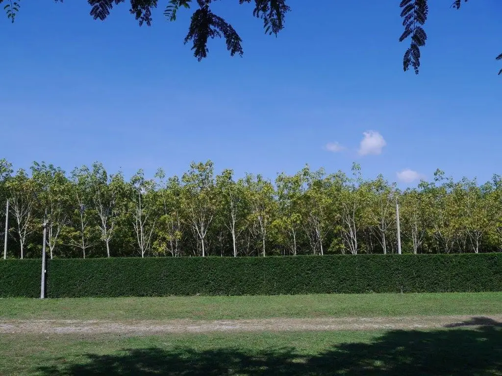 Клаенг: Klang Suan Resort