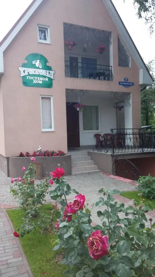 Зеленоградск: Guest House Trigona
