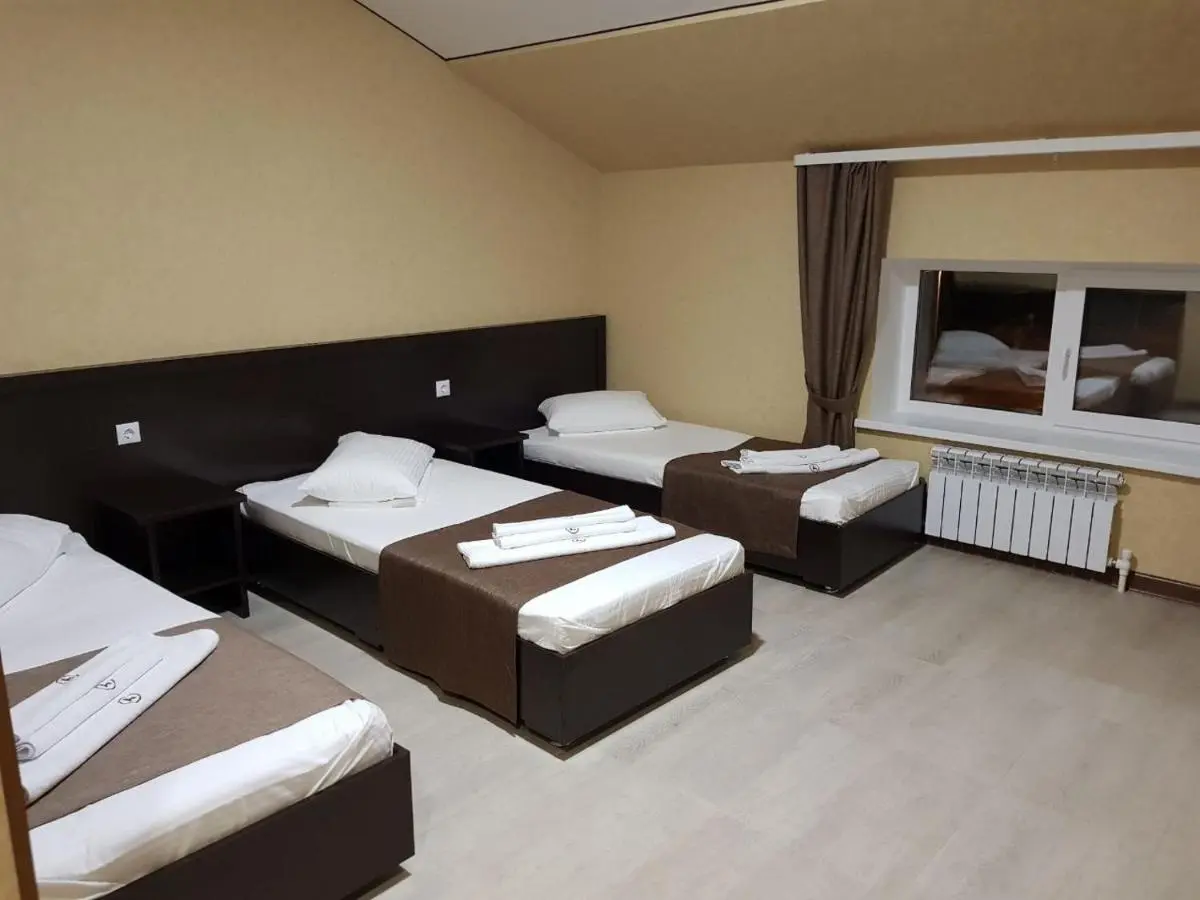 Kamyshla: Hotel Novyi Zamok