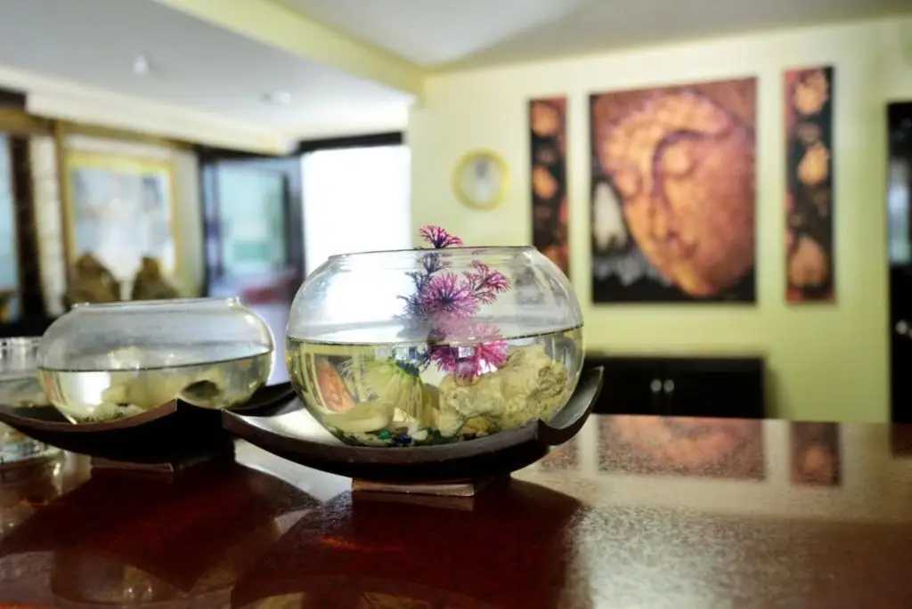 Кату: Jaranya Guest House