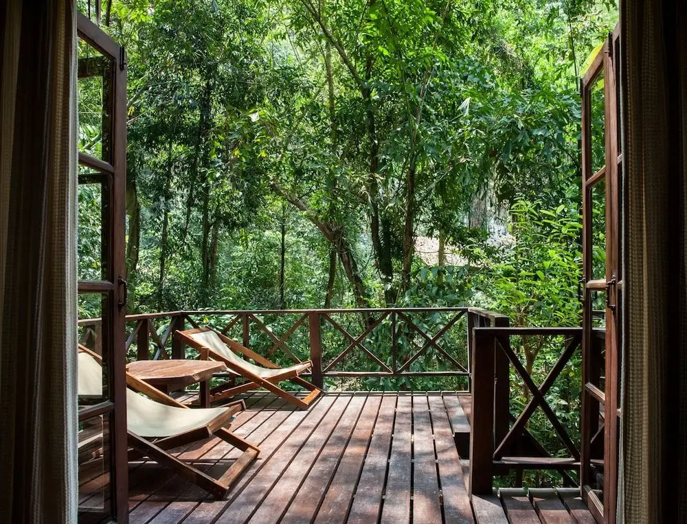 Фаном: Our Jungle House