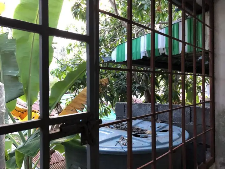 Самуи: Dikachaya Hostel
