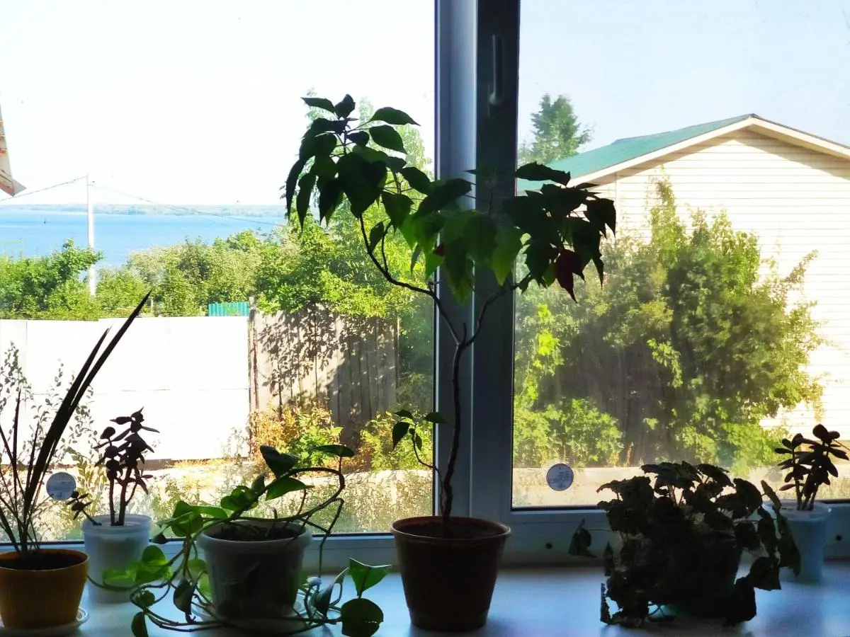 Сызрань: Hotel Volga