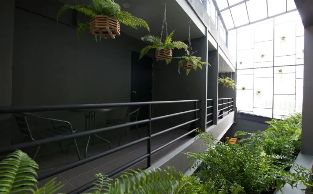 Муанг: The Arbern Hostel x Bistro