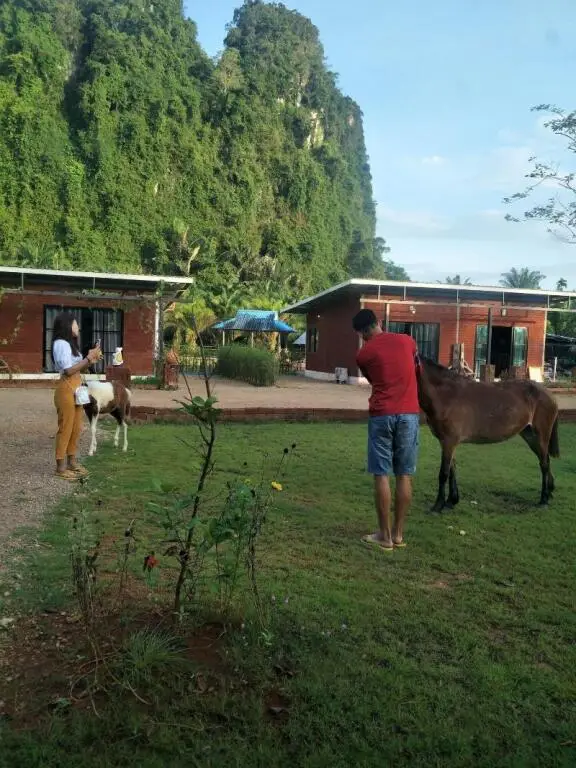 Краби: Villa Ban Tanay