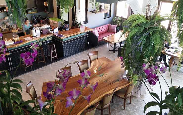 Чианграй: Saneh Maechan Coffee Home