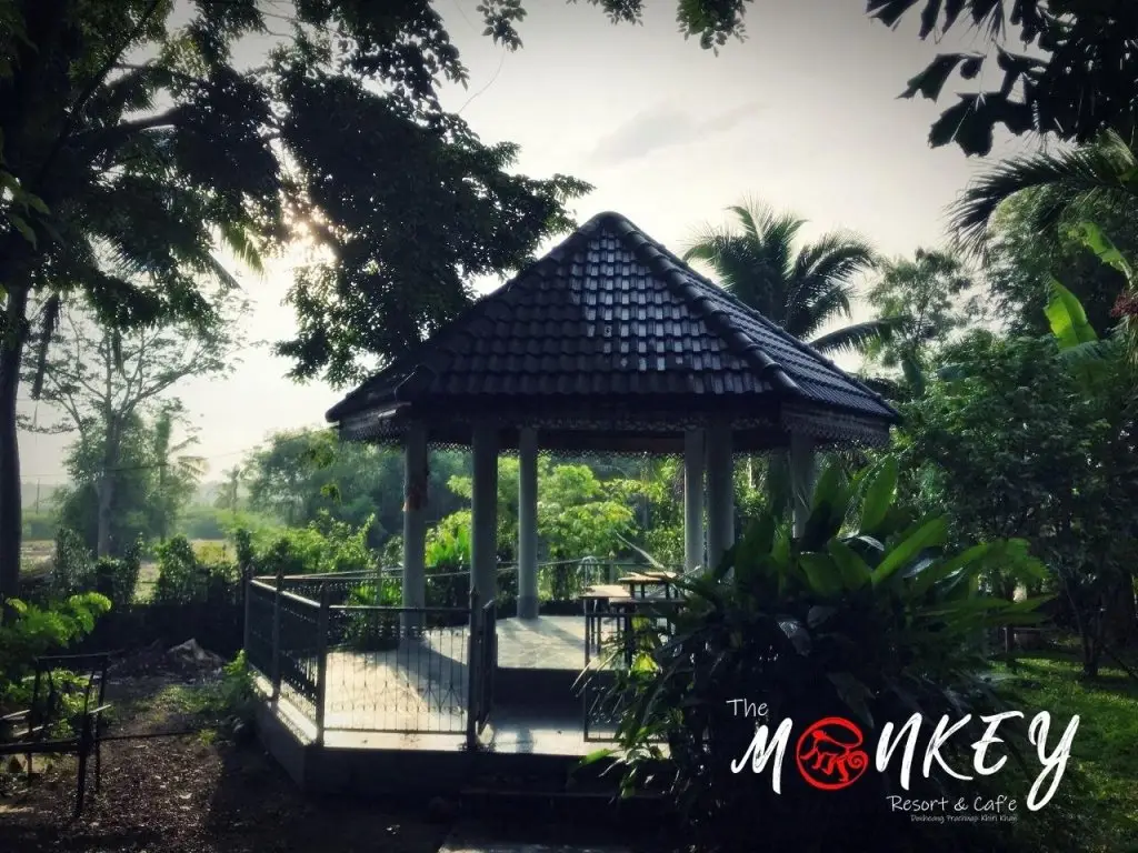 Прачуапкхирикхан: The Monkey Resort Donheang