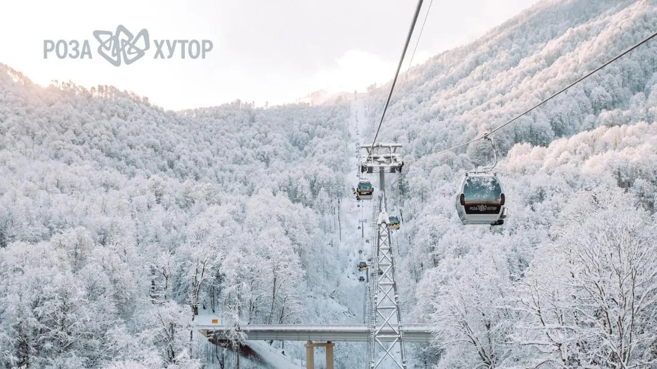 Хоста: Очарование Моря