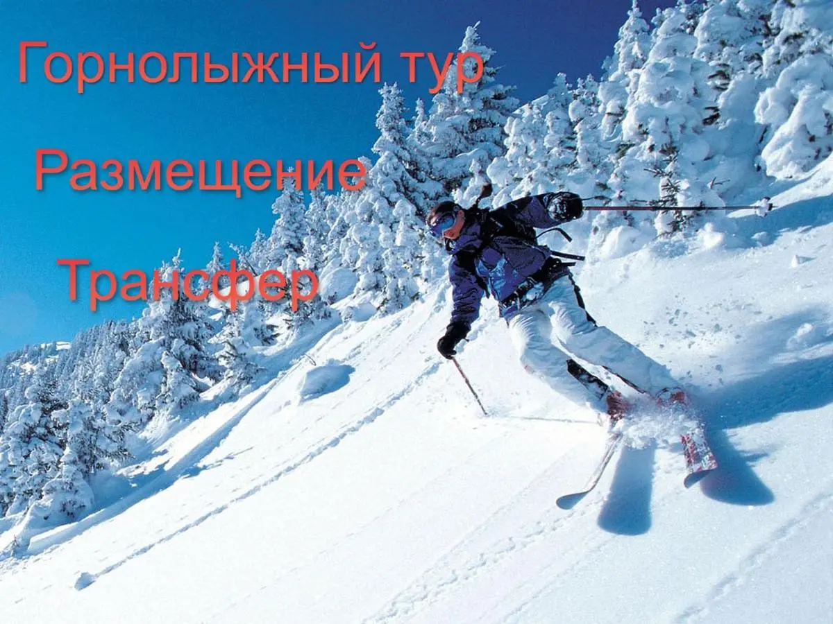 Хоста: Очарование Моря