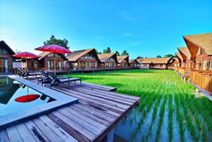 Сураттхани: Rice Farm Villa Suratthani