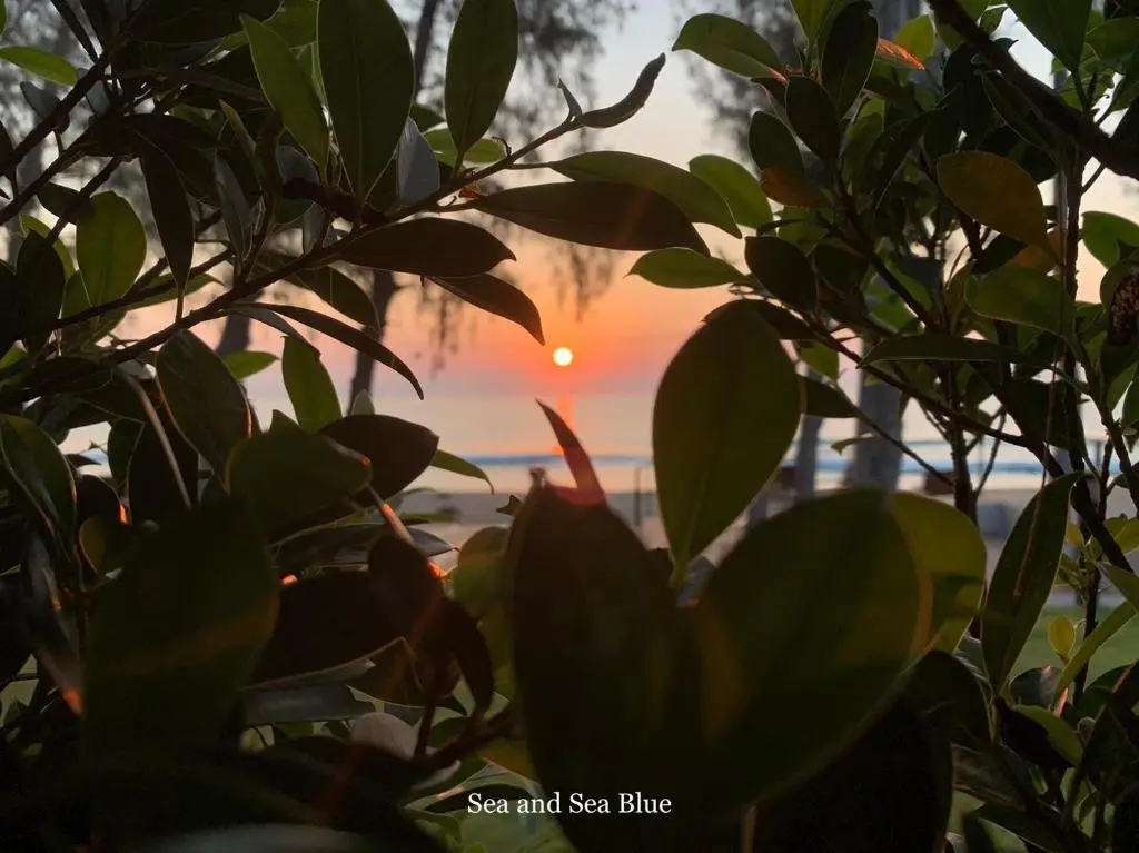 Тхап Сакае: Sea & Sea Villa Resort Sangaroon