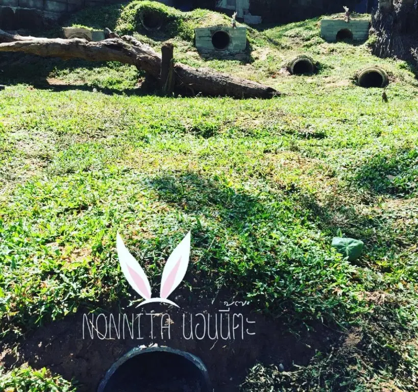 Муанг: Phuket Nonnita Boutique Resort