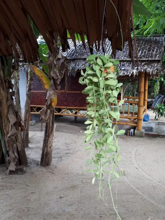 Лансака: Khanum Songpeenong