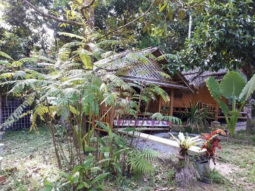 Национальный заповедник Khao Phanom Bencha: Suanprangwhan Baankiriwong