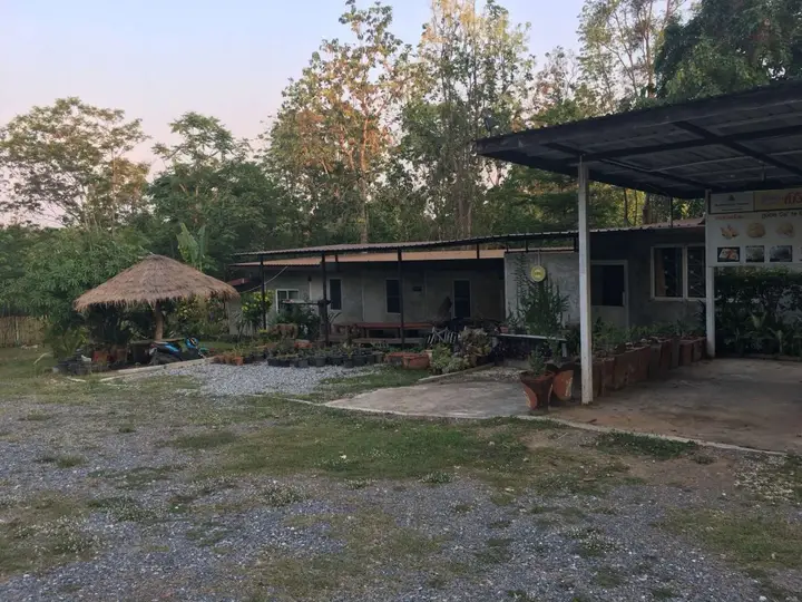 Нонгбуа Ламфу: Nongbualamphu Signature