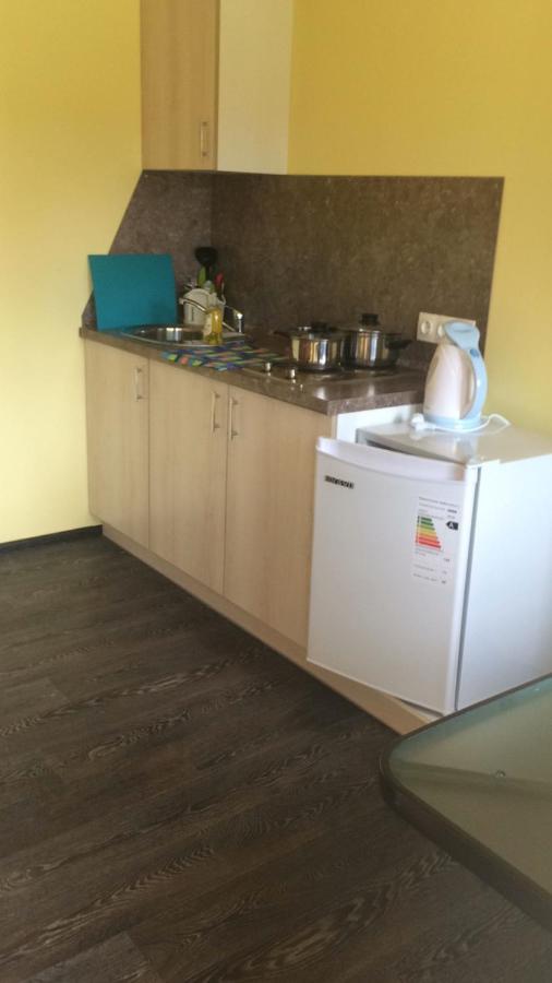 Shiryayevo: Apart-hotel Repino