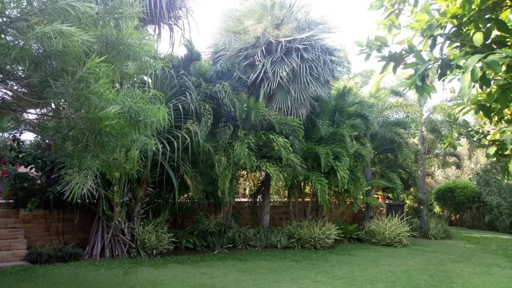 Сам-Рои-Йот: Malee Garden