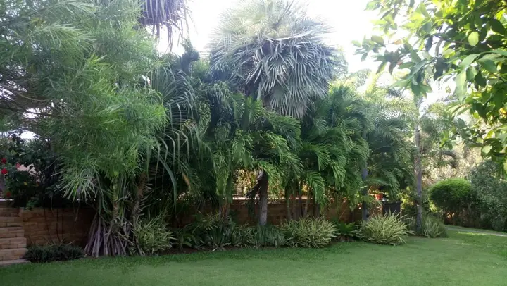 Сам-Рои-Йот: Malee Garden