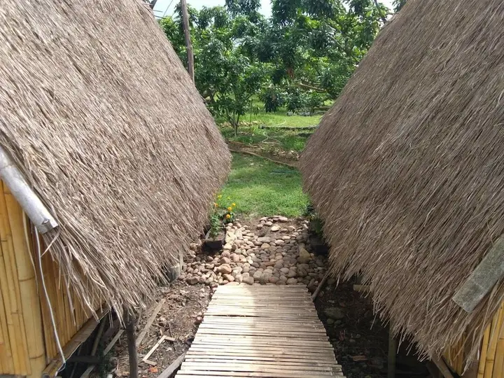 Чианг Дао: Doichaenggram Homestay