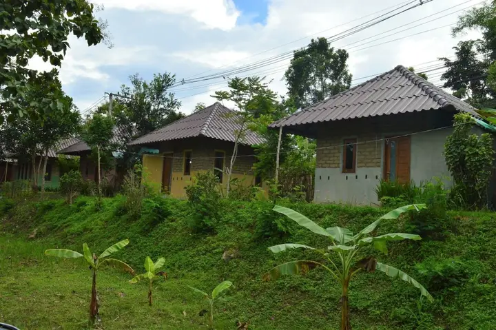 Паи: Monkey House 2