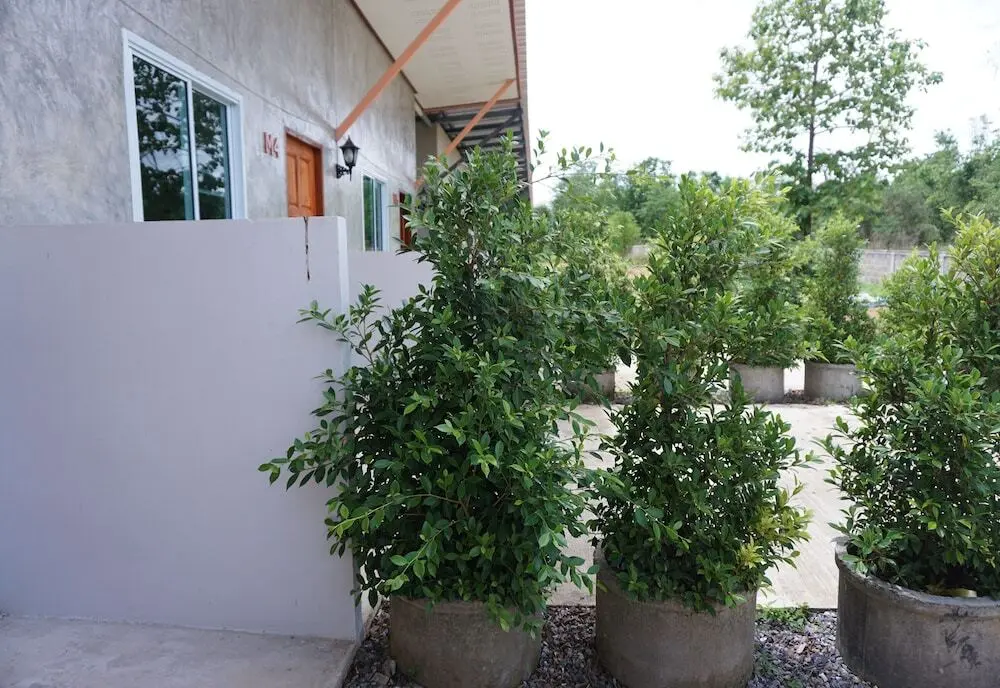 Нгао: Mookravee Resort