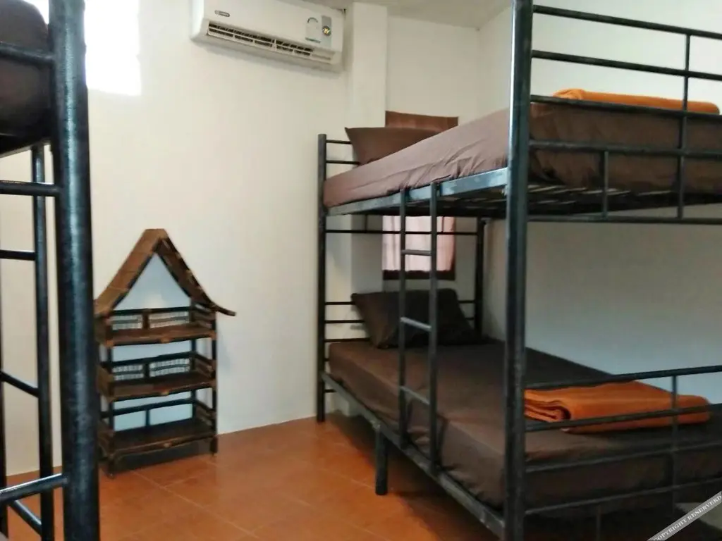 Ко-Пханган: White Rabbit - Hostel