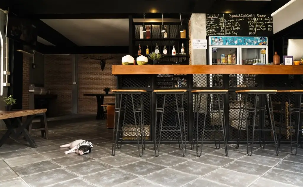 Мэй-Хаад-Бэй: Bed & Ink Hostel Koh Tao