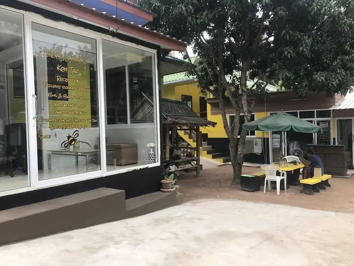 Остров Тау: The Hive Hostel Koh Tao