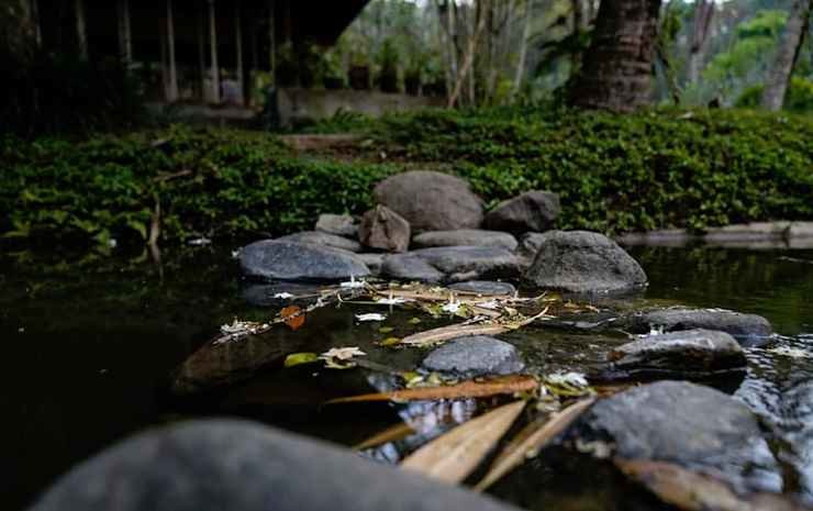 Mae Chan: Dala Hide Away Chiang Rai