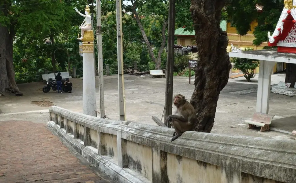 Пхетчхабури: Core Khiri Hostel