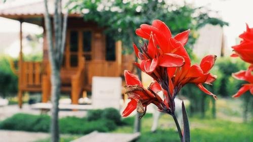Лампхун: Meedee Homestay