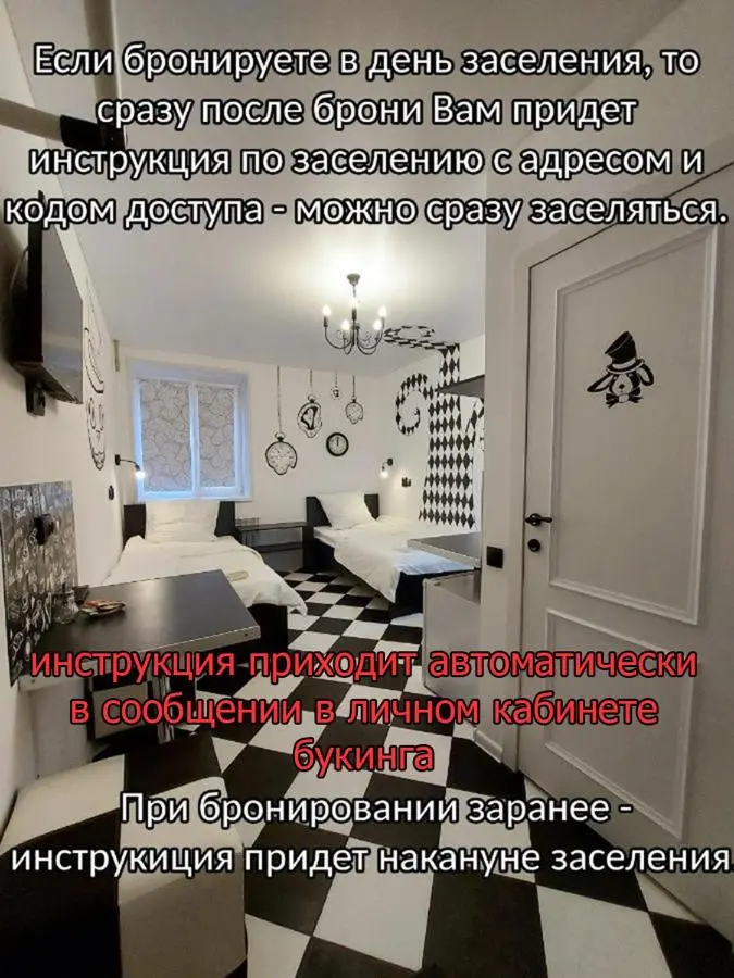 Саратов: Студия "Чеширский Кот" - бесконтактное заселение